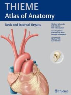 Schulte / Schumacher / Ross | Neck and Internal Organs (THIEME Atlas of Anatomy) | Buch | 978-1-60406-294-6 | sack.de