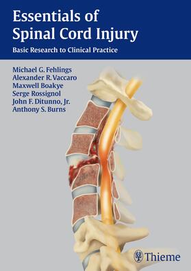 Fehlings / Vaccaro / Boakye | Essentials of Spinal Cord Injury | E-Book | sack.de