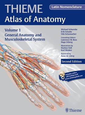 Schuenke / Schulte / Schumacher | General Anatomy and Musculoskeletal System (Latin) | Buch | 978-1-60406-923-5 | sack.de