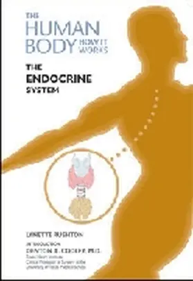 Rushton |  The Endocrine System | Buch |  Sack Fachmedien
