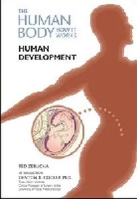 Zerucha |  Human Development | Buch |  Sack Fachmedien
