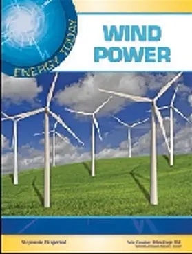 Fitzgerald |  Wind Power | Buch |  Sack Fachmedien
