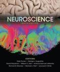 Purves / Augustine / Fitzpatrick |  Neuroscience | Buch |  Sack Fachmedien