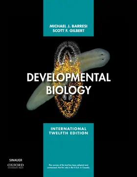 Barresi / Gilbert |  Developmental Biology | Buch |  Sack Fachmedien