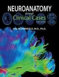 Blumenfeld |  Neuroanatomy through Clinical Cases | Buch |  Sack Fachmedien