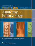 Lambert / Wineski |  Lippincott's Illustrated Q&A Review of Anatomy and Embryology | Buch |  Sack Fachmedien