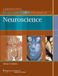 Haines |  Haines, D: Lippincott's Illustrated Q&A Review of Neuroscien | Buch |  Sack Fachmedien