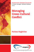 Haghirian |  Successful Cross-Cultural Management | Buch |  Sack Fachmedien