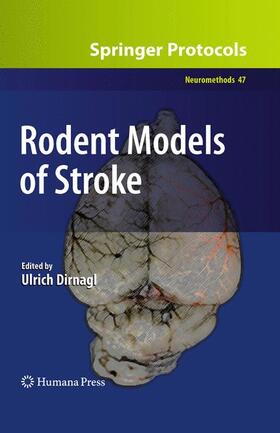 Dirnagl |  Rodent Models of Stroke | Buch |  Sack Fachmedien