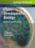 Hennig / Köhler |  Plant Developmental Biology | Buch |  Sack Fachmedien