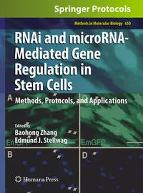 Zhang / Stellwag | RNAi and microRNA-Mediated Gene Regulation in Stem Cells | E-Book | www.sack.de