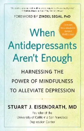 Eisendrath |  When Antidepressants Aren't Enough | eBook | Sack Fachmedien