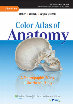 Rohen / Lutjen-Drecoll / Yokochi | Color Atlas of Anatomy | Buch | 978-1-60913-785-4 | sack.de