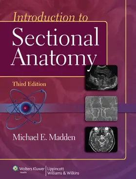 Madden |  Introduction to Sectional Anatomy | Buch |  Sack Fachmedien