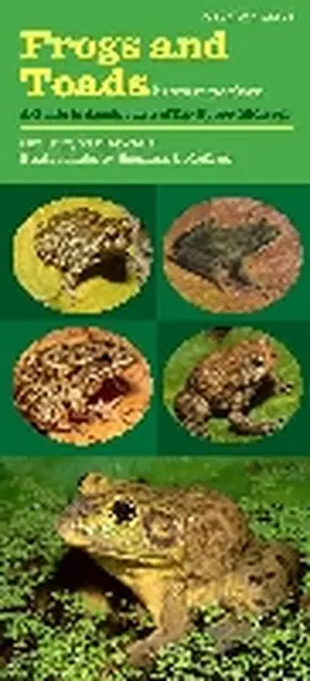 Vandewalle |  Frogs and Toads in Your Pocket: A Guide to Amphibians of the Upper Midwest | Sonstiges |  Sack Fachmedien
