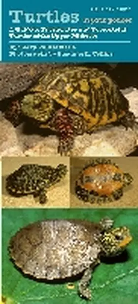 Vandewalle / Collins |  Turtles in Your Pocket: A Guide to Freshwater and Terrestrial Turtles of the Upper Midwest | Sonstiges |  Sack Fachmedien