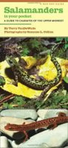Vandewalle |  Salamanders in Your Pocket: A Guide to Caudates of the Upper Midwest | Buch |  Sack Fachmedien