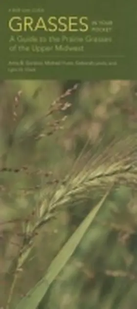 Gardner / Hurst / Lewis |  Grasses in Your Pocket: A Guide to the Prairie Grasses of the Upper Midwest | Buch |  Sack Fachmedien