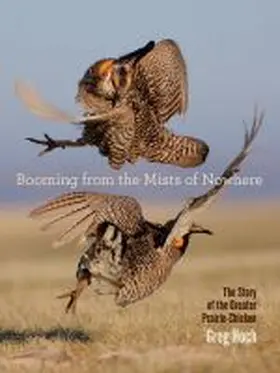 Hoch |  Booming from the Mists of Nowhere: The Story of the Greater Prairie-Chicken | Buch |  Sack Fachmedien