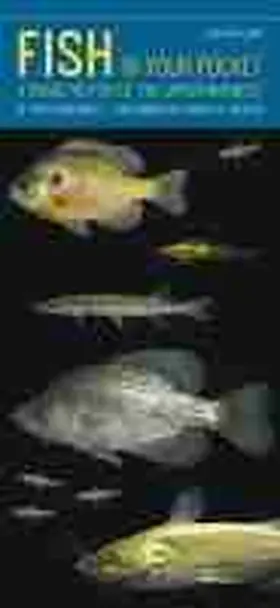 Vandewalle |  Fish in Your Pocket: A Guide to Fish of the Upper Midwest | Sonstiges |  Sack Fachmedien
