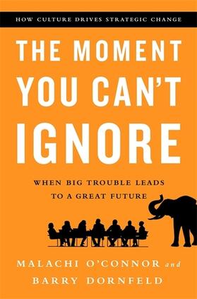 O'Connor / Dornfeld |  The Moment You Can't Ignore | Buch |  Sack Fachmedien