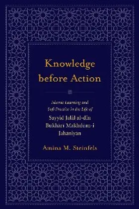 Steinfels |  Knowledge before Action | eBook | Sack Fachmedien