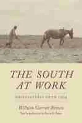 Brown |  The South at Work | Buch |  Sack Fachmedien
