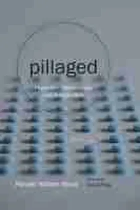 Pillaged | Buch | 978-1-61117-460-1 | www.sack.de