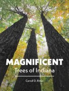  Magnificent Trees of Indiana | Buch |  Sack Fachmedien