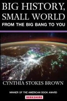 Stokes Brown |  Big History, Small World | Buch |  Sack Fachmedien