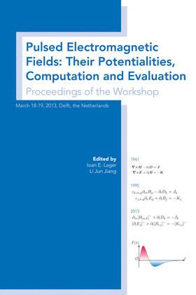 Lager / Jiang |  Pulsed Electromagnetic Fields: Their Potentialities, Computation and Evaluation | Buch |  Sack Fachmedien