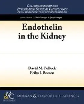 Pollock / Boesen |  Endothelin in the Kidney | Buch |  Sack Fachmedien