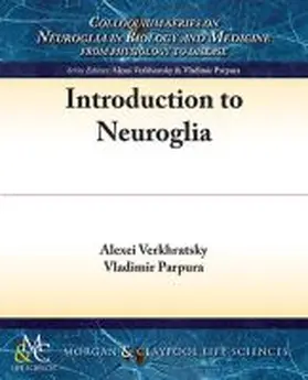 Verkhratsky / Parpura |  Introduction to Neuroglia | Buch |  Sack Fachmedien