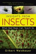 Waldbauer |  Insights From Insects | eBook | Sack Fachmedien