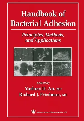 An / Friedman |  Handbook of Bacterial Adhesion | Buch |  Sack Fachmedien