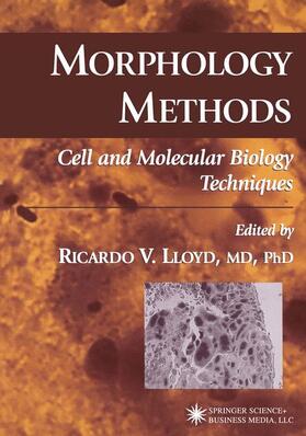 Lloyd |  Morphology Methods | Buch |  Sack Fachmedien