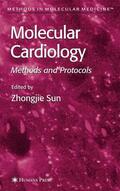 Sun |  Molecular Cardiology | Buch |  Sack Fachmedien