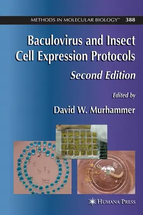 Murhammer |  Baculovirus and Insect Cell Expression Protocols | Buch |  Sack Fachmedien