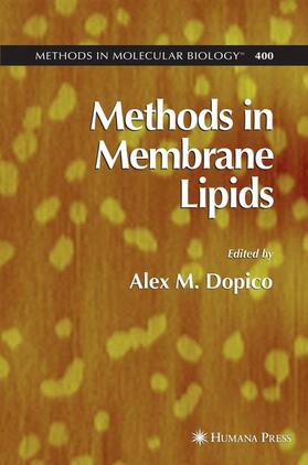 Dopico | Methods in Membrane Lipids | Buch | 978-1-61737-703-7 | sack.de