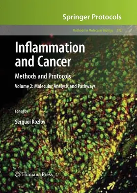 Kozlov |  Inflammation and Cancer | Buch |  Sack Fachmedien