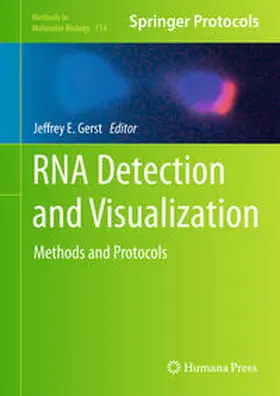 Gerst | RNA Detection and Visualization | E-Book | www.sack.de