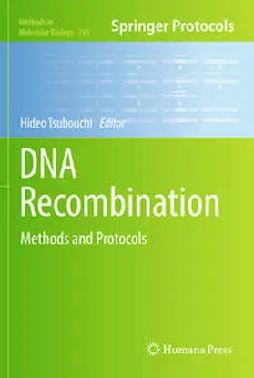 Tsubouchi | DNA Recombination | E-Book | www.sack.de