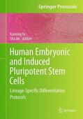 Jin / Ye |  Human Embryonic and Induced Pluripotent Stem Cells | Buch |  Sack Fachmedien