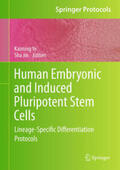 Ye / Jin |  Human Embryonic and Induced Pluripotent Stem Cells | eBook | Sack Fachmedien