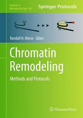 Morse |  Chromatin Remodeling | Buch |  Sack Fachmedien