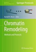 Morse |  Chromatin Remodeling | Buch |  Sack Fachmedien
