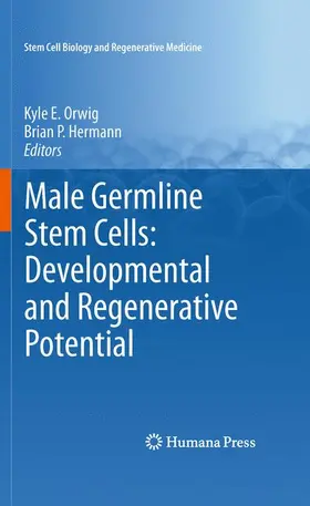 Hermann / Orwig |  Male Germline Stem Cells: Developmental and Regenerative Potential | Buch |  Sack Fachmedien