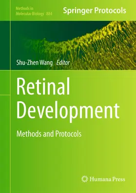 Wang | Retinal Development | Buch | 978-1-61779-847-4 | www.sack.de