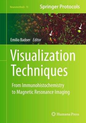 Badoer |  Visualization Techniques | Buch |  Sack Fachmedien