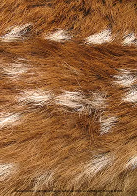 John |  Square Rung Poems | eBook | Sack Fachmedien